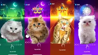CUTE CATS - DANCIN CAT - SHAKIRA WAKA WAKA - IMAGINE DRAGONS -  TILES HOP EDM RUSH