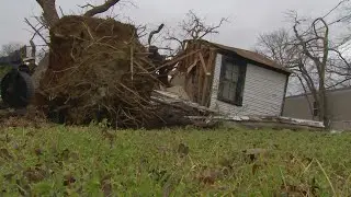 Residents are dealing with severe storm damage in Grayson County