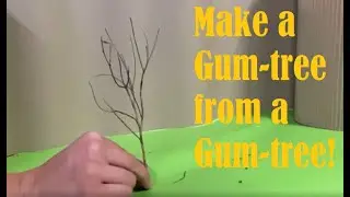 How to make a Miniature Gum-tree from a Gum-tree: An idiots guide