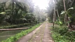 PETERPAN-NOAH ALBUM KENANGAN Tanpa Iklan | Album Nostalgia Masa-Masa SMA ‼️