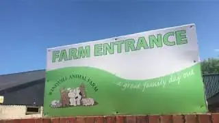 A TRIP TO WINDMILL ANIMAL FARM IN BURSCOUGH