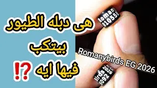 دبله حجول خصله الطيور ⁉️ اسماء كتير والفائدة للجميع 💁