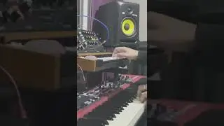 Funk Jam with Nord Stage 3 & Behringer PolyD