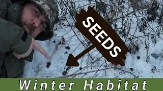 Wild Bird Food and Winter Habitat