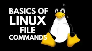 2 Directory Listing Attributes in Linux | Linux Essentials to Expert Masterclass | Hunt The Skills