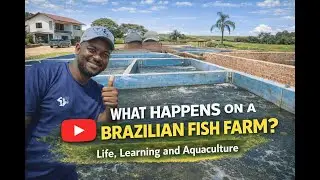 What Happens on a Brasilian Fish Farm?