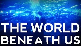 The World Beneath Us