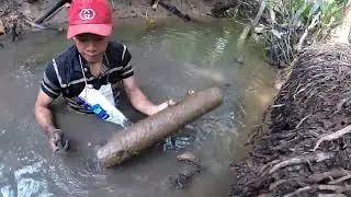 Catch crayfish with bare hands | Thánh BẮT TÔM bằng TAY KHÔNG