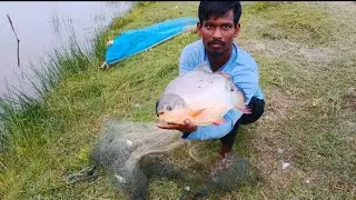 Amazing Best Cast Net Fishing Traditional Fish catching in odisha net fishing