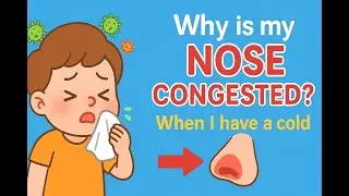 Why Does Your Nose Get Stuffy When You&rsquo;re Sick? 🤧 | Fun Science for Kids