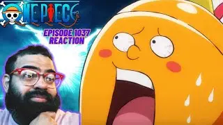 ZEUS IS ALIVE?! | One Piece Episode 1037 Reaction #onepiece #roofpiece #luffyvskaido #onepieceedit