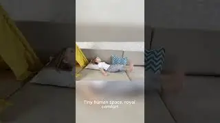 Dog Claims Couch Like A Boss 🐶🛋️