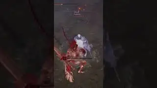 Why do ppl still use rob it&rsquo;s so boring #eldenring #pvp #invasion