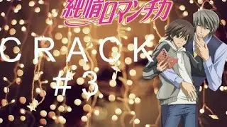 Junjou Romantica (CRACK #3)
