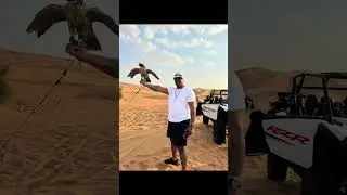 What a time 🇦🇪#dubai #travel #traveltherileyway #adventure  #subscribe #dontowncopyright