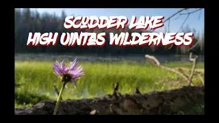 Scudder Lake- High Uintas Wilderness (Multi-Day Adventure) TWGR