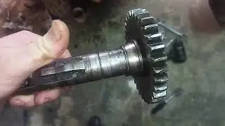 Rodamiento toma de fuerza  tractor pascuali 989