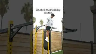 Are Muscle ups Good for Building Muscle?