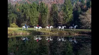 Horseback riding near Lake Bled in Slovenia/ Triglav National Park/