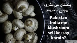 Pakistan mai Mushroom sale kessay karain?