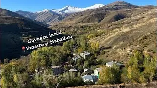 Pınarbaşı Mahallesi: Gevaş’ta Doğayla Buluşma Noktası