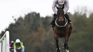 Wow! GAELIC WARRIOR batters rivals on chase debut at Punchestown