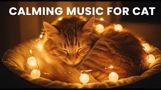 12 Hours of Deep Sleep Music for Cats 😻 Calming Sounds for Anxiety & Stress Relief, Relaxation