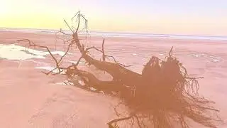 Porthkidney sunset
