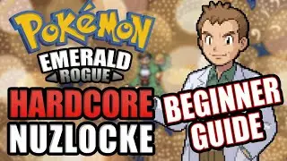Pokemon Emerald Rogue v2.0.1a Beginner Guide in a nutshell - Safari Zone & Hub Mechanics