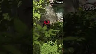 I was not paying attention