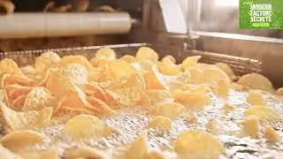 How Pringles Are Made Today | Inside the Modern Factory Process