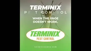 Terminix Pest Control ....When The Shoe Doesn't Work! | Terminix NOLA & Northshore