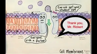 Introduction To Population Ecology (High School Biology)