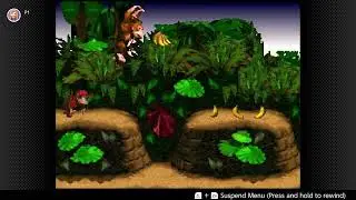 Donkey Kong Country - Level 1 - Jungle Hijinx - Playthrough