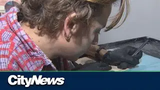 Juno award-winner Scott Helman now an ink master