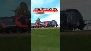 🦺Nowy Dragon 
