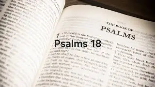 Daily Devotional Day 18 (Psalms 18)