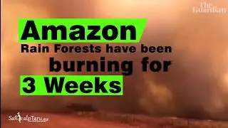 #AmazonRainForest #AmazonFires - SankalpTaru in Action