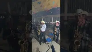 M&uacute;sicos Mixtecos #fiestaspatronales #mixteca #viral #pueblos  #viralreels #oaxaca #music #mexico #1k