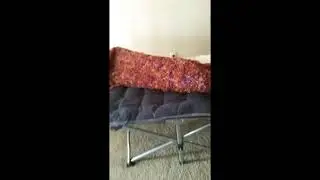 Review NAIZEA Folding Camping Cots for Adults, Folding Cot with Mattress Camping Bed Camp Cot Portab