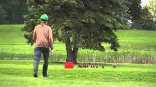Before Dawn: Preparing a golf course