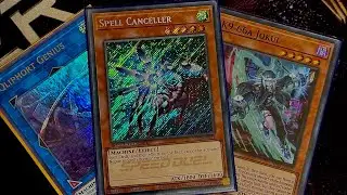 Spell Canceller, the floodgate tech that finally becomes viable in Cyber Dragon thanks to K9!
