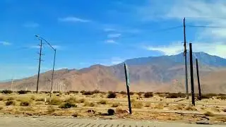 California desert #thedesertfox