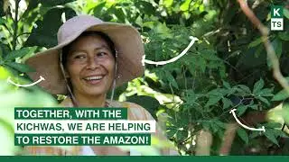 Klorane Botanical Foundation True Stories: Quinine x the Amazon