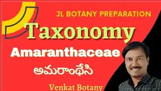 Amaranthaceae అమరాంథేసి | JL Botany Classes