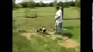 When trove devs see bugs