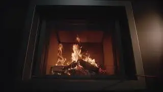 St&ucirc;v 21 fire screen | St&ucirc;v America