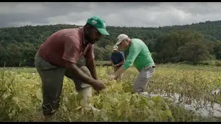 Eleven Madison Home presents: A Visit to Norwich Meadows Farm