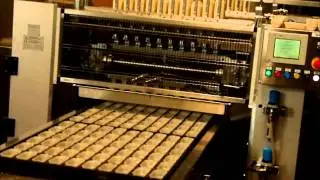 Spirottinatrici - Rotante SPR-60 con nastro a passo