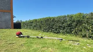 Hedge trimming. k-apple hedge trimming at its best.